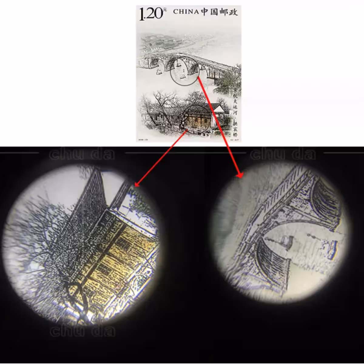 Mikroskop s kakovostnim objektivom za natančne in podrobne preglede