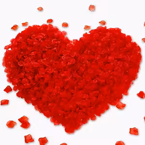 Umetni rdeči cvetni listi vrtnic – 500 kosov za romantično dekoracijo, poroko in valentinovo